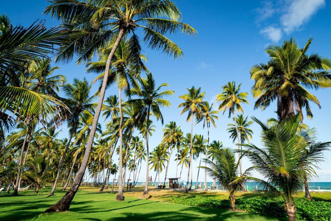 Paraiso Na Terra - Carneiros Beach Resort Tamandaré Exterior foto
