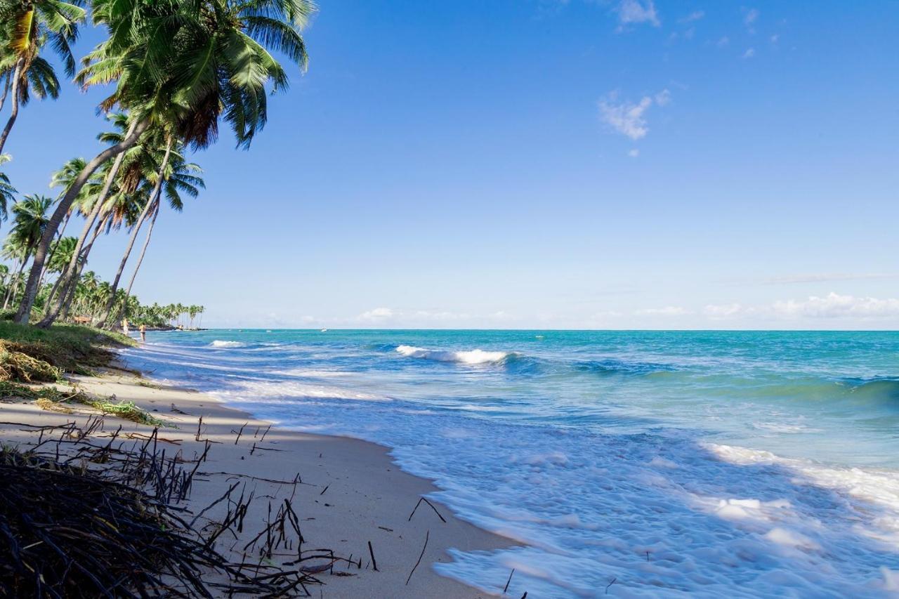 Paraiso Na Terra - Carneiros Beach Resort Tamandaré Zimmer foto